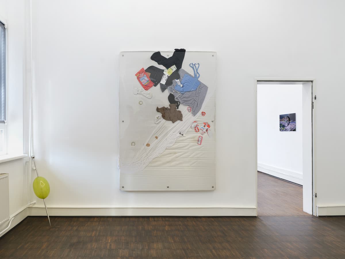PROFUSION ANTAGONIST WISHLIST installation view 10
