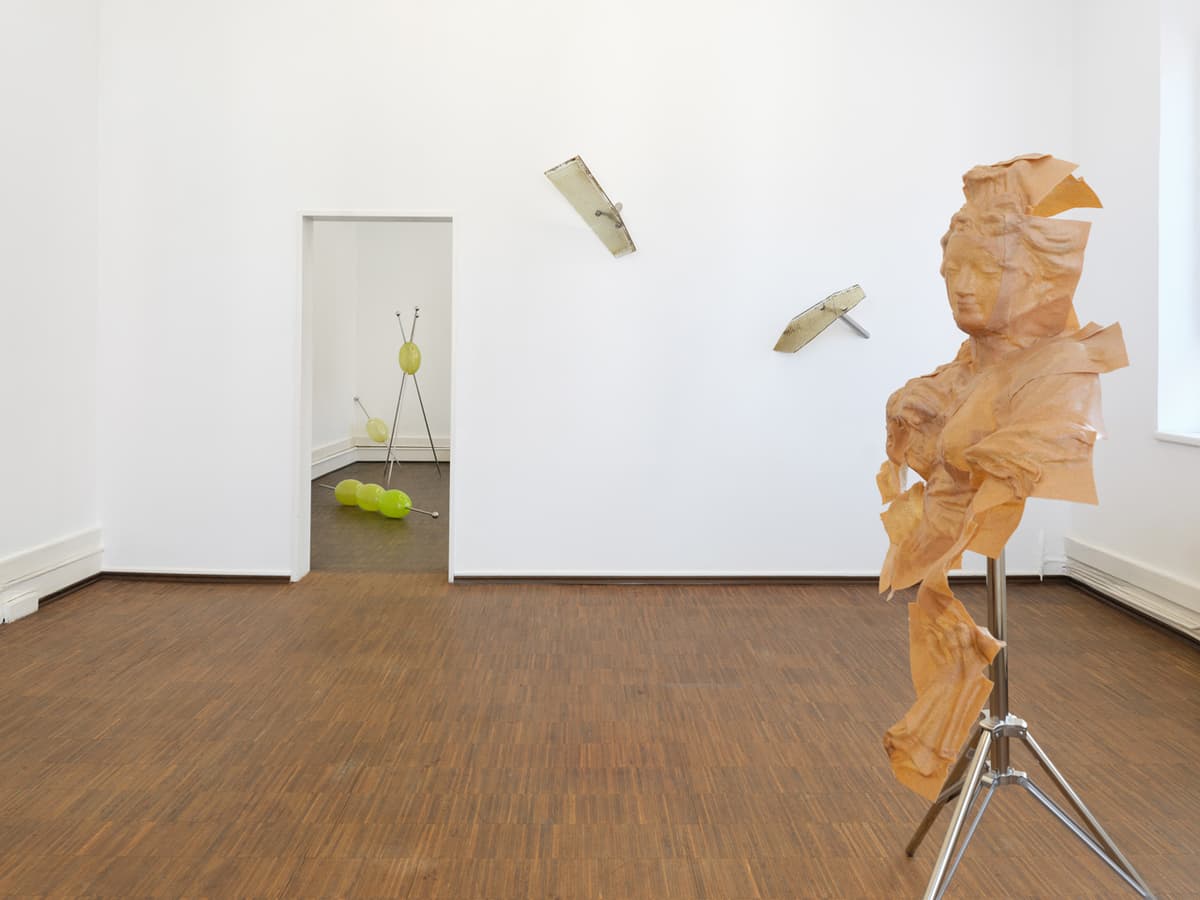 PROFUSION ANTAGONIST WISHLIST installation view 4