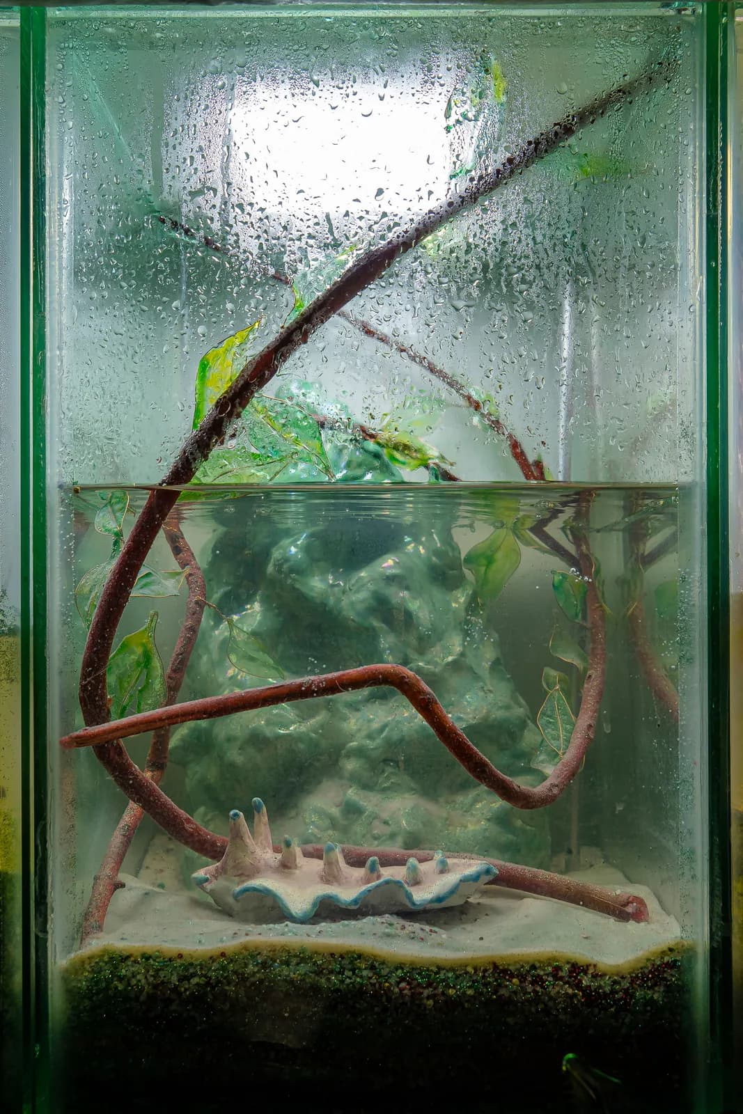 Rama torcida installation view 14