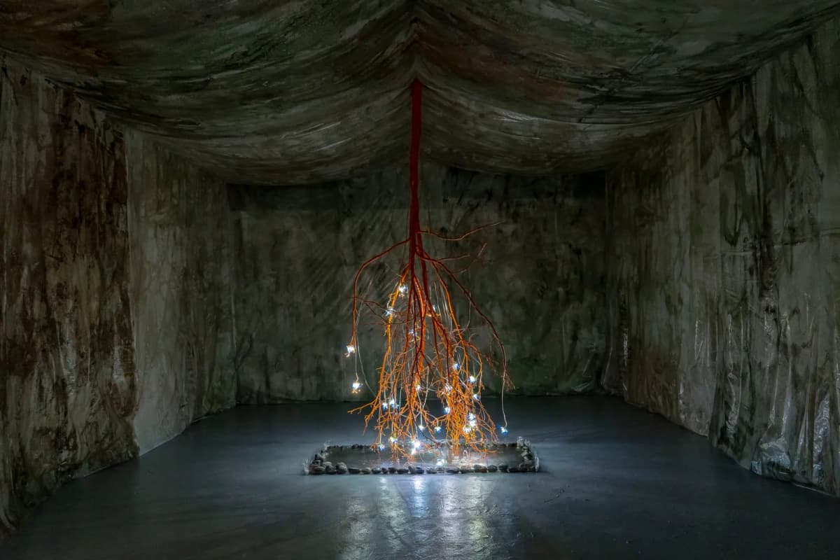 Rama torcida installation view 17