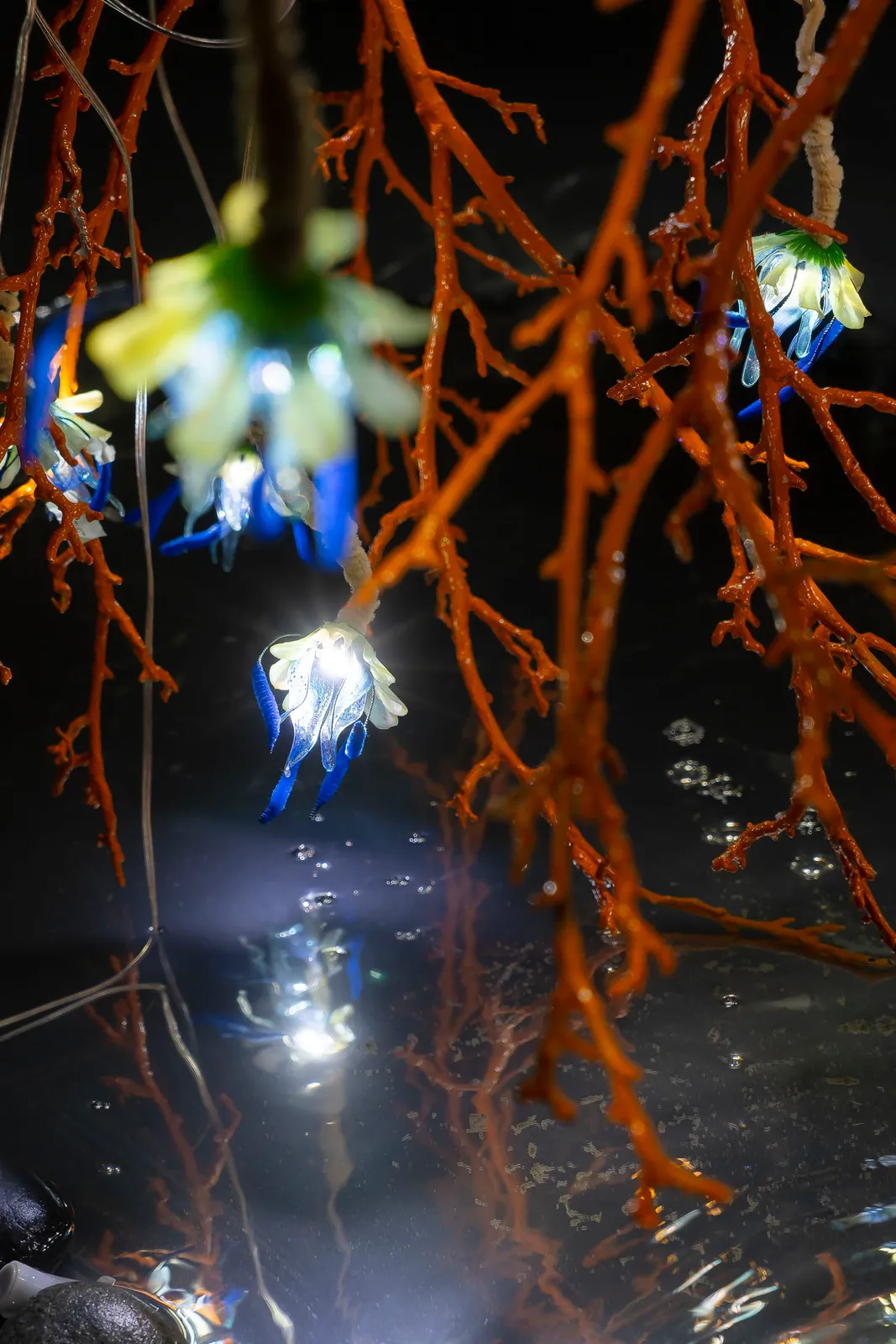 Rama torcida installation view 18