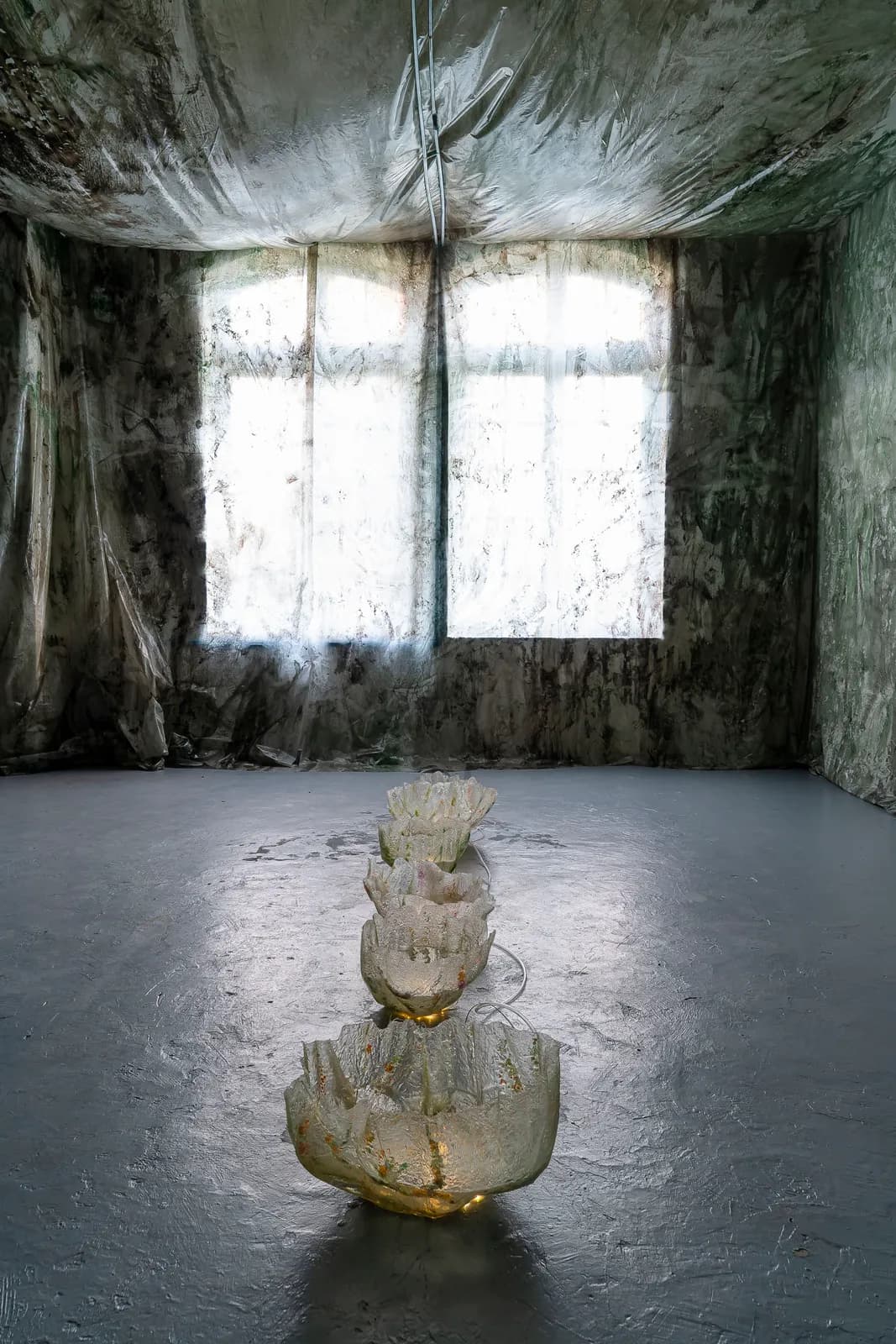 Rama torcida installation view 4