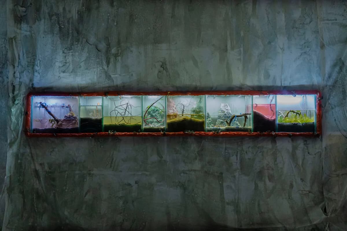 Rama torcida installation view 8