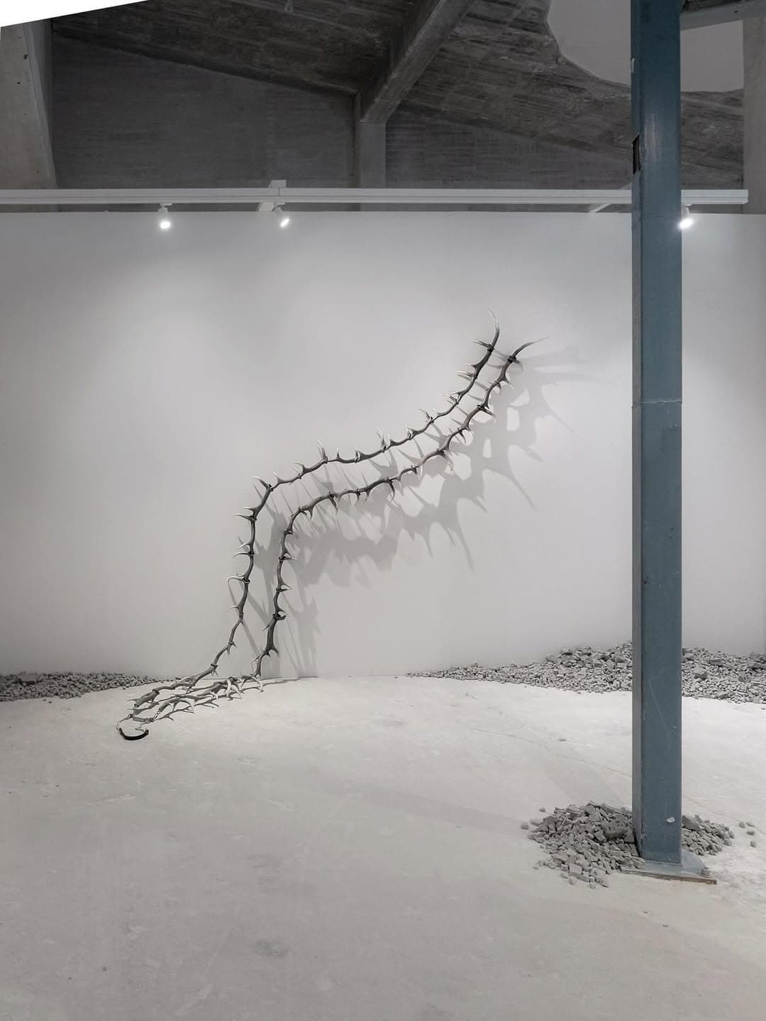 THE ROOM I exhibition view