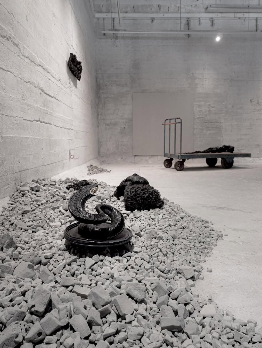THE ROOM I installation view 6