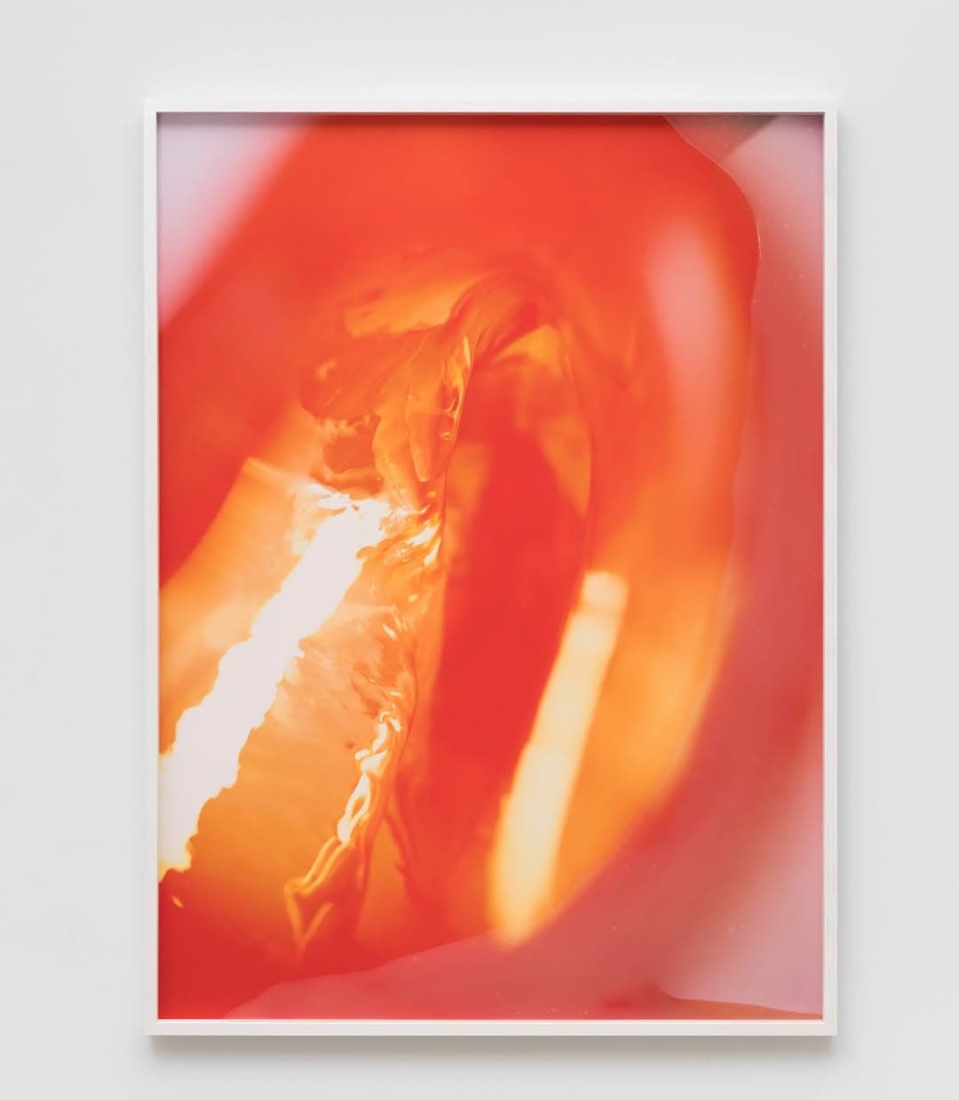THRESHOLDS installation view 10