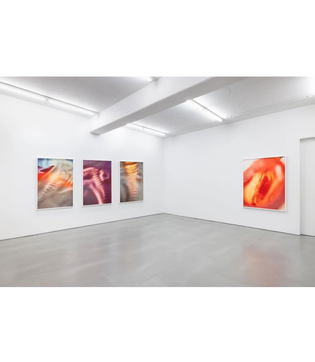 THRESHOLDS installation view 8