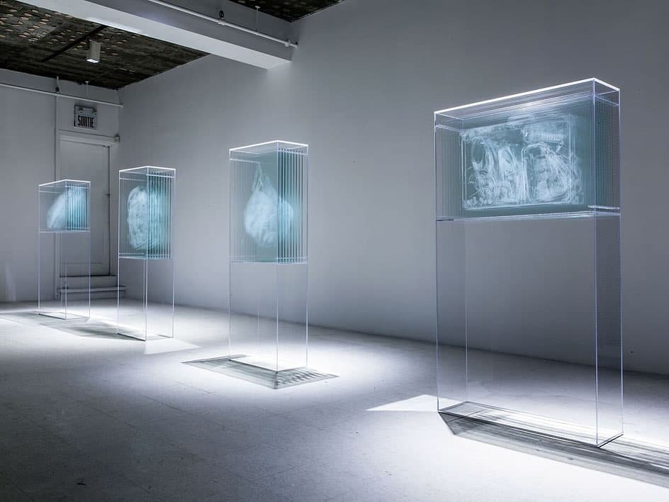 TRANSPARENCY REPORT exhibition view