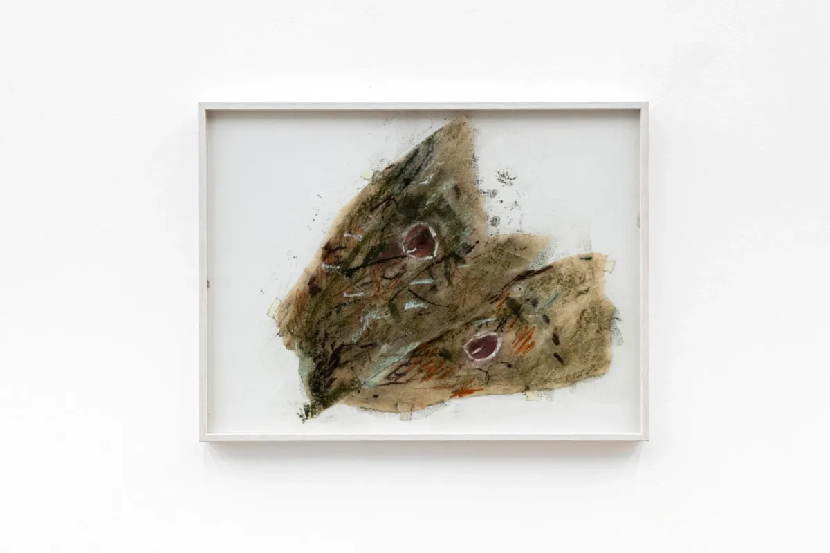 Triangle reshapes the O of my mouth installation view 18