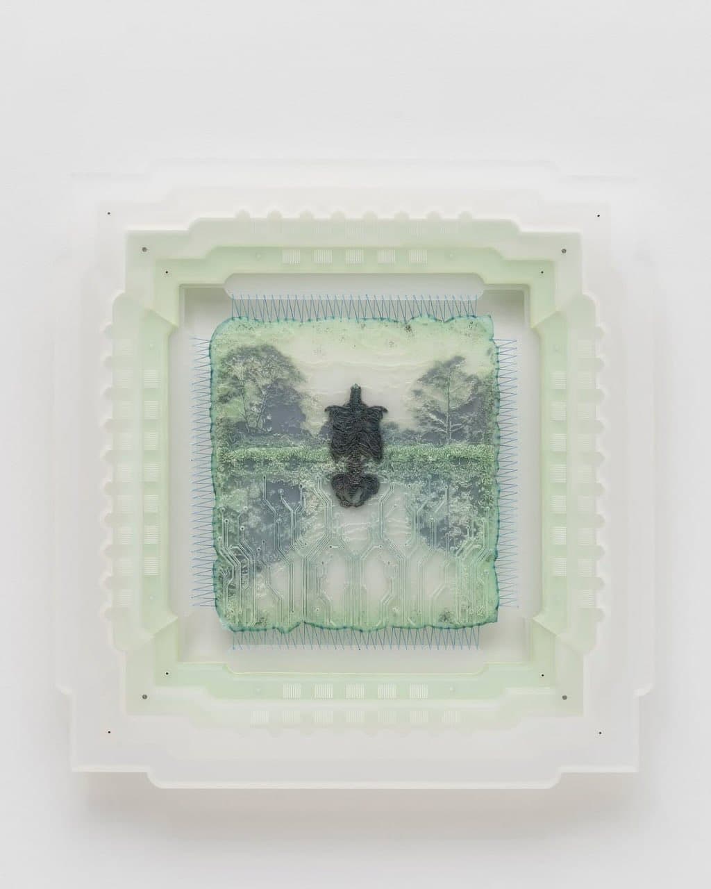 VITALS VAPORS installation view 4