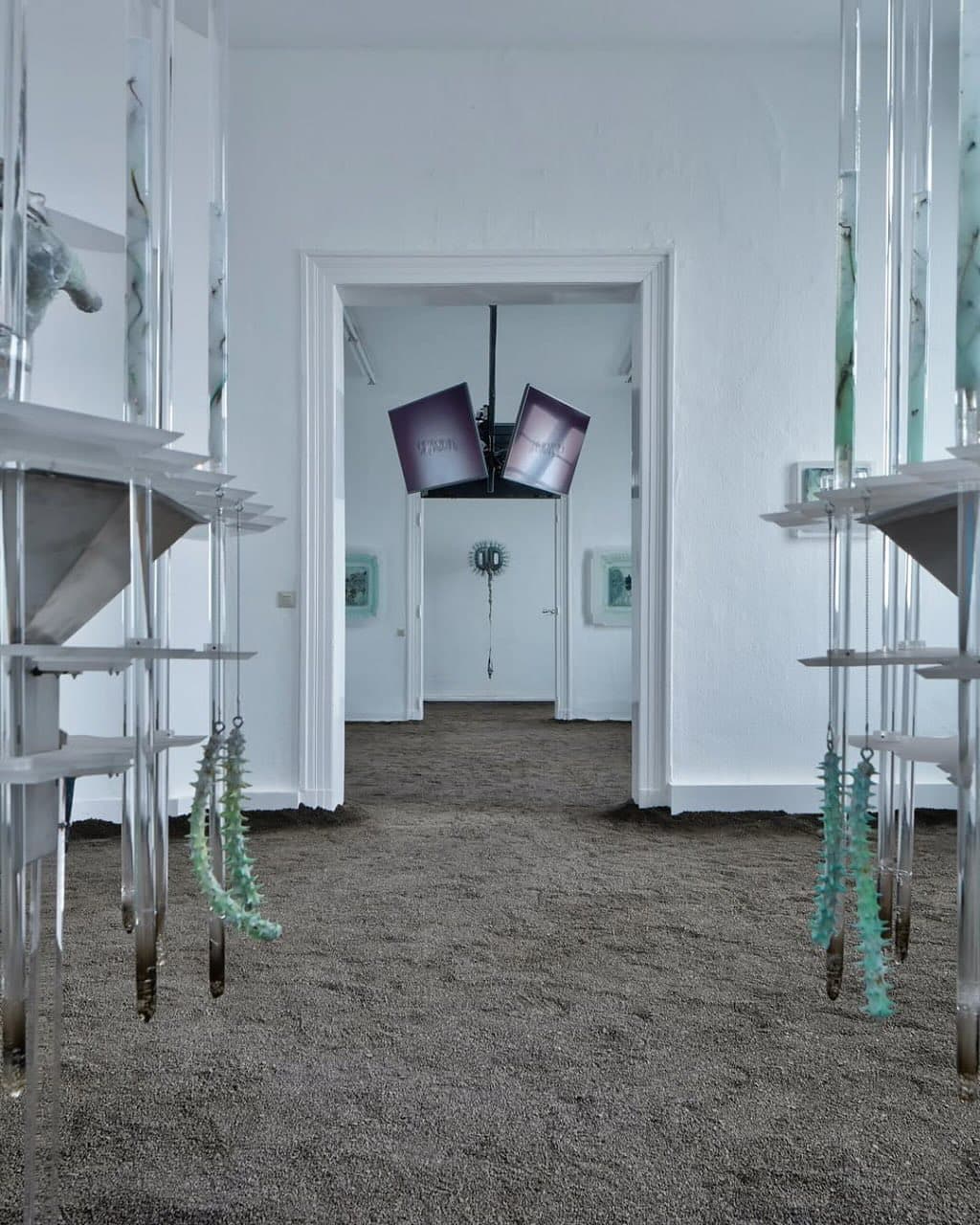 VITALS VAPORS installation view 5
