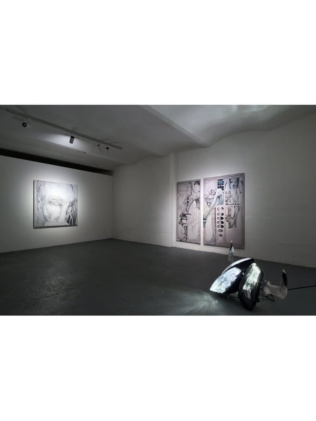 WITH FEATHERS AND FLESH installation view 11