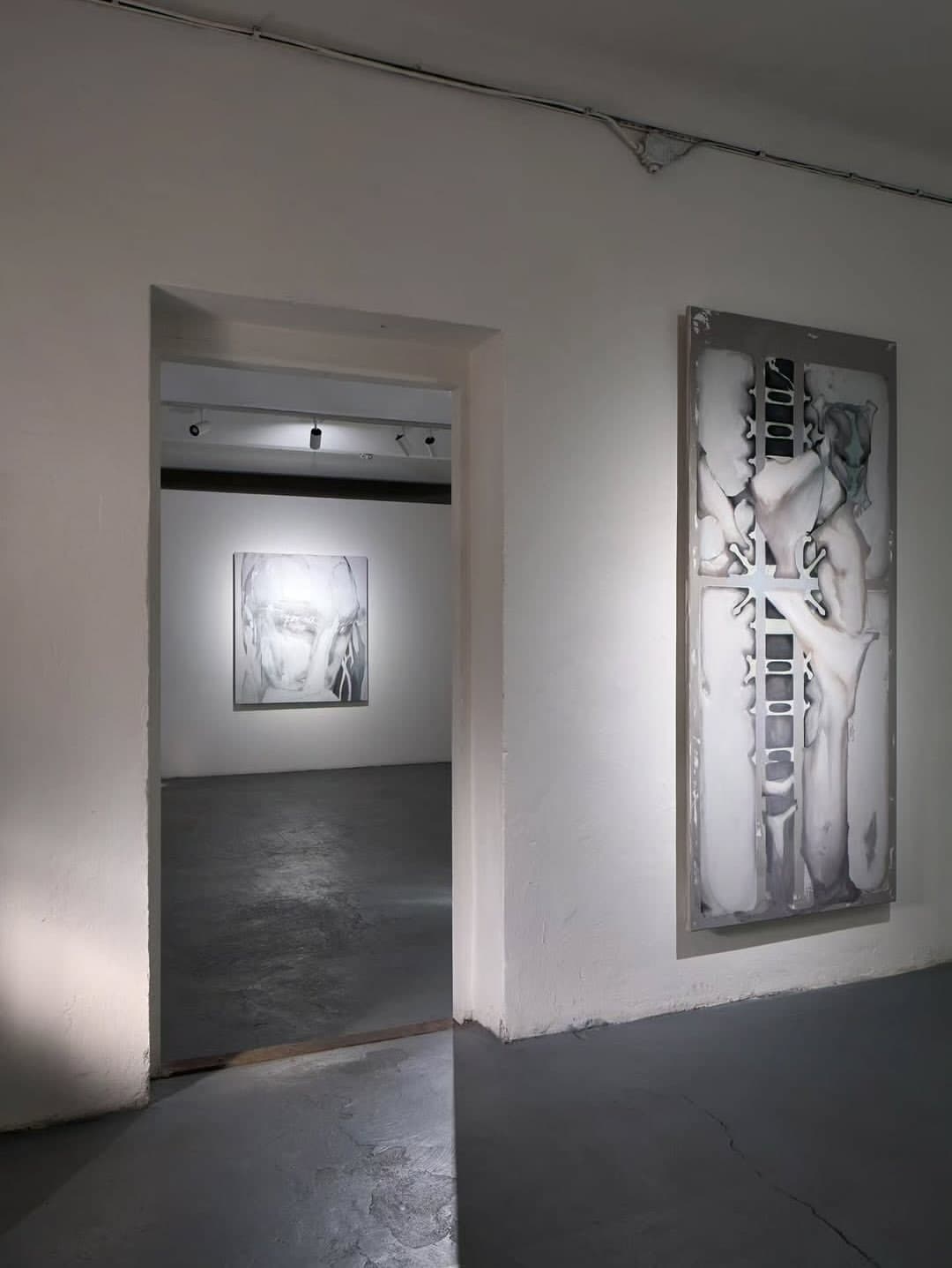 WITH FEATHERS AND FLESH installation view 3