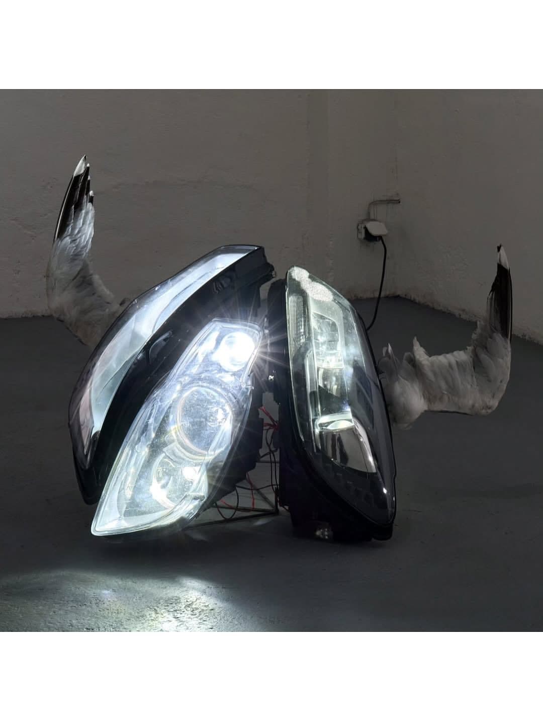 WITH FEATHERS AND FLESH installation view 5