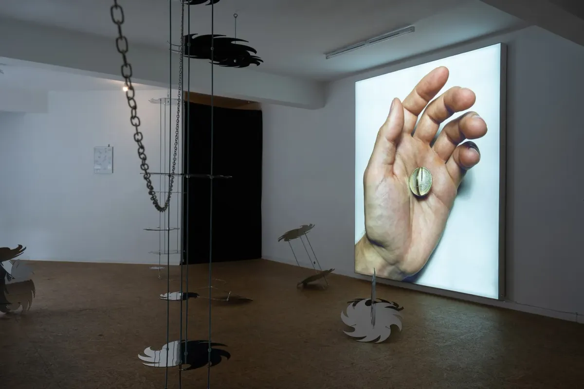 We are deeply alarmed and express our grave concern installation view 2