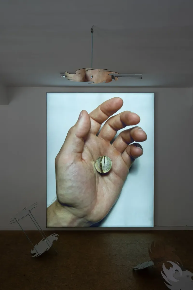 We are deeply alarmed and express our grave concern installation view 5