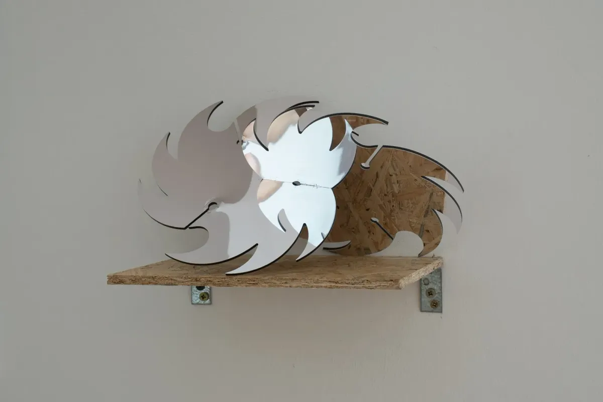 We are deeply alarmed and express our grave concern installation view 9