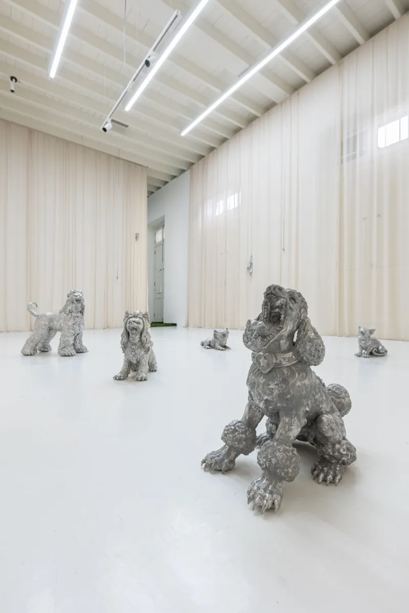 You Can't Stop the World from Being Bad installation view 2