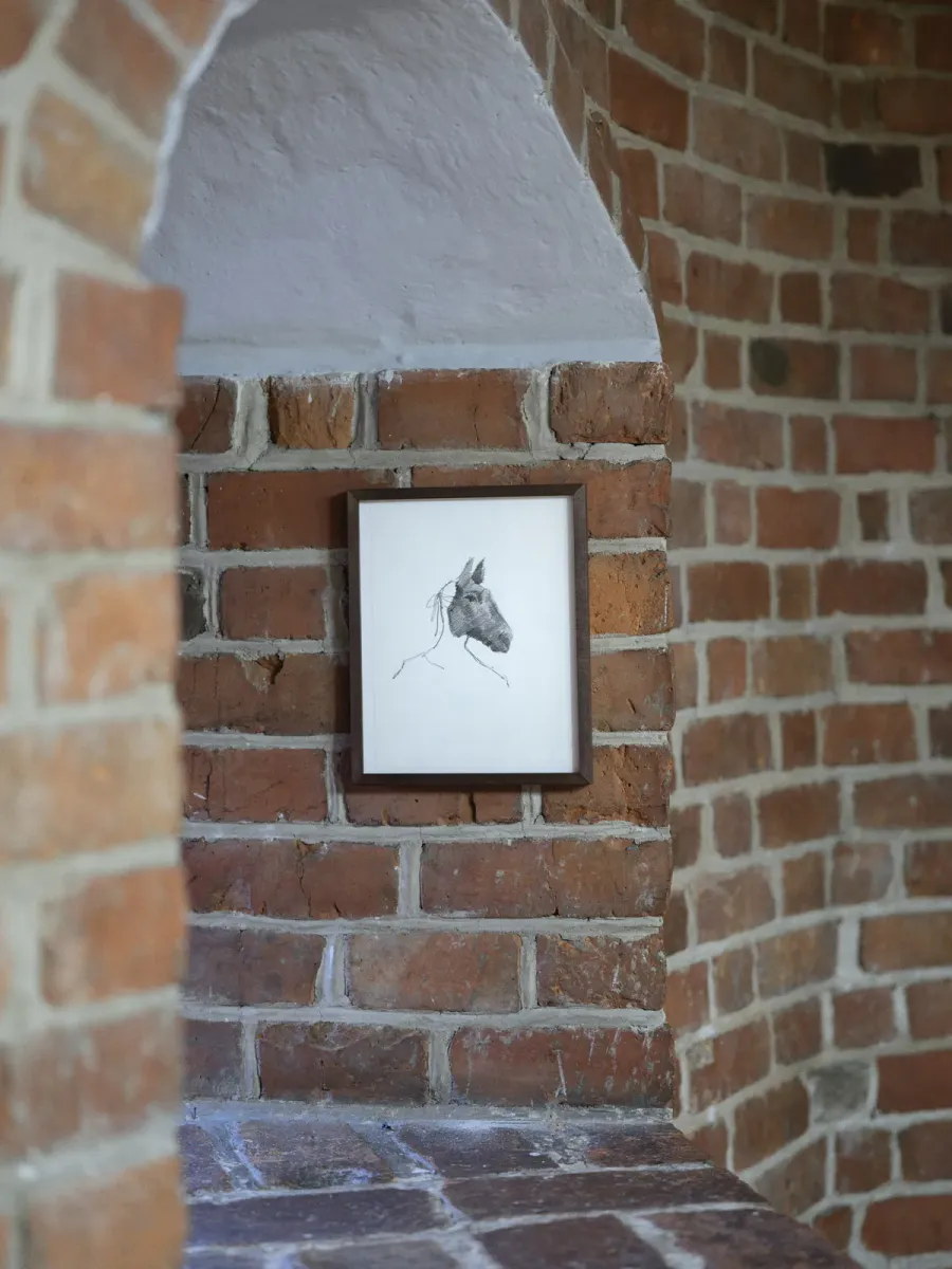 A Gentle Kiss on a Double Forehead installation view 12