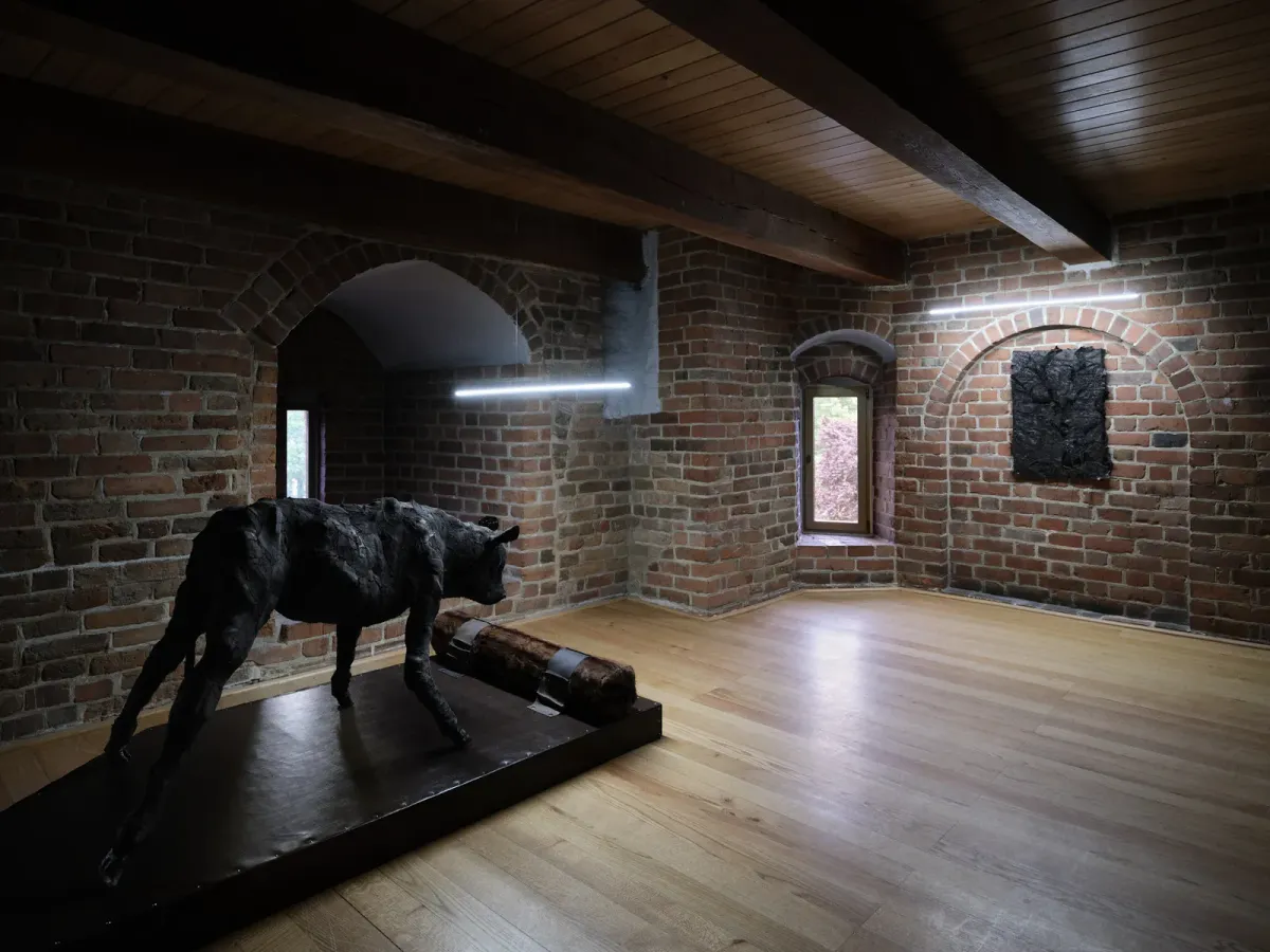 A Gentle Kiss on a Double Forehead installation view 8