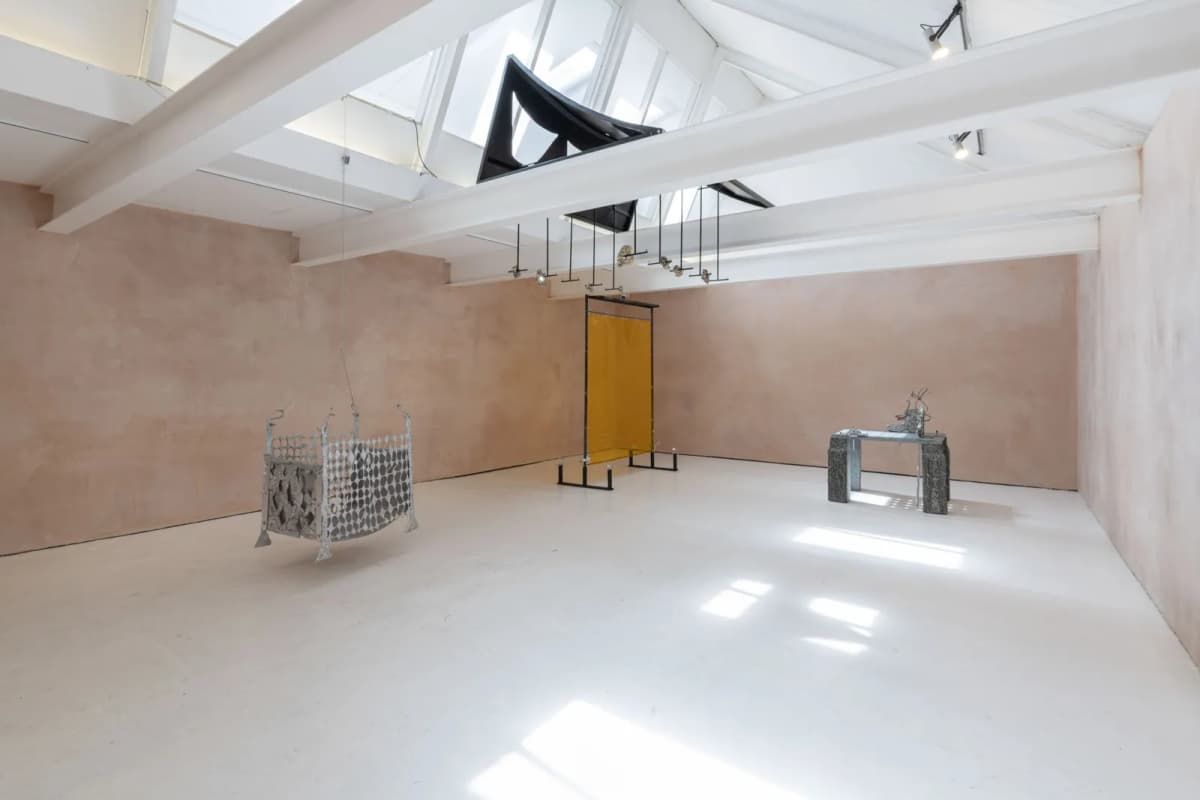 As The Sap Rises installation view 4