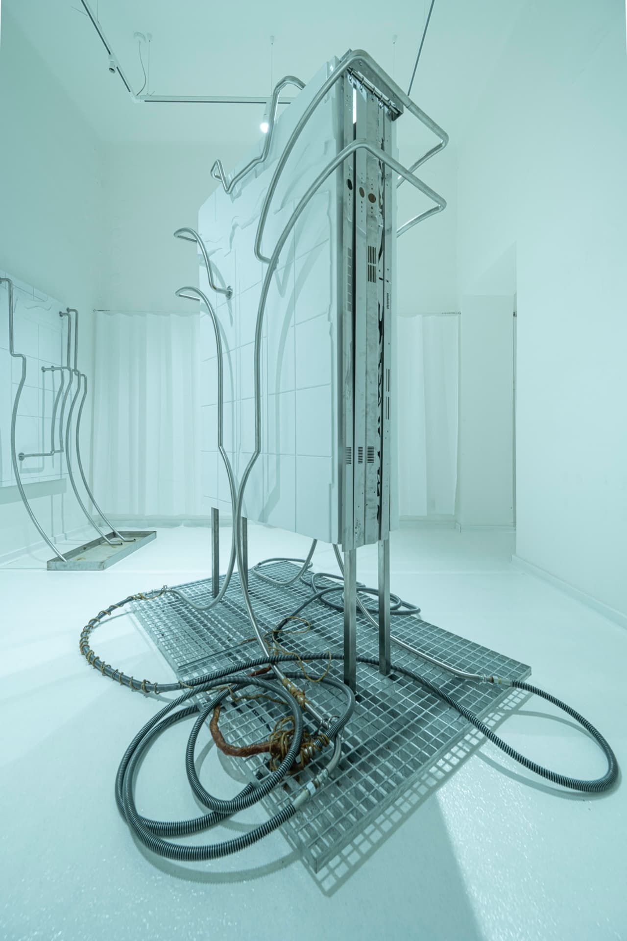Begone Estrone installation view 6