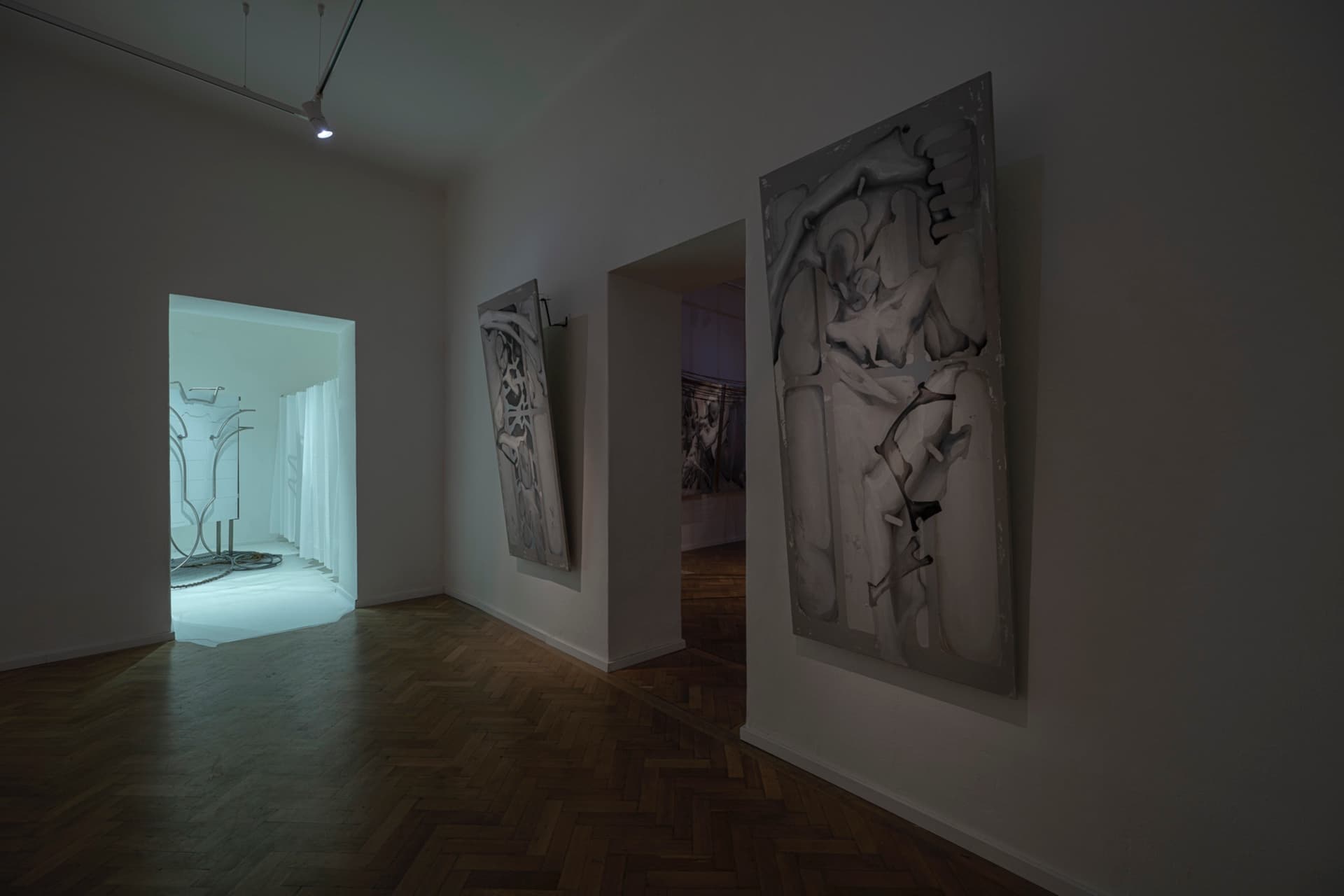Begone Estrone installation view 9