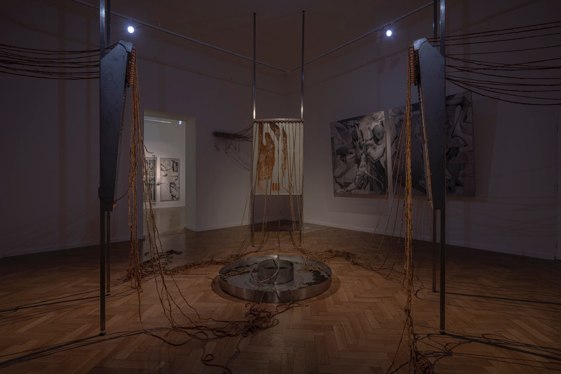Begone Estrone installation view 10