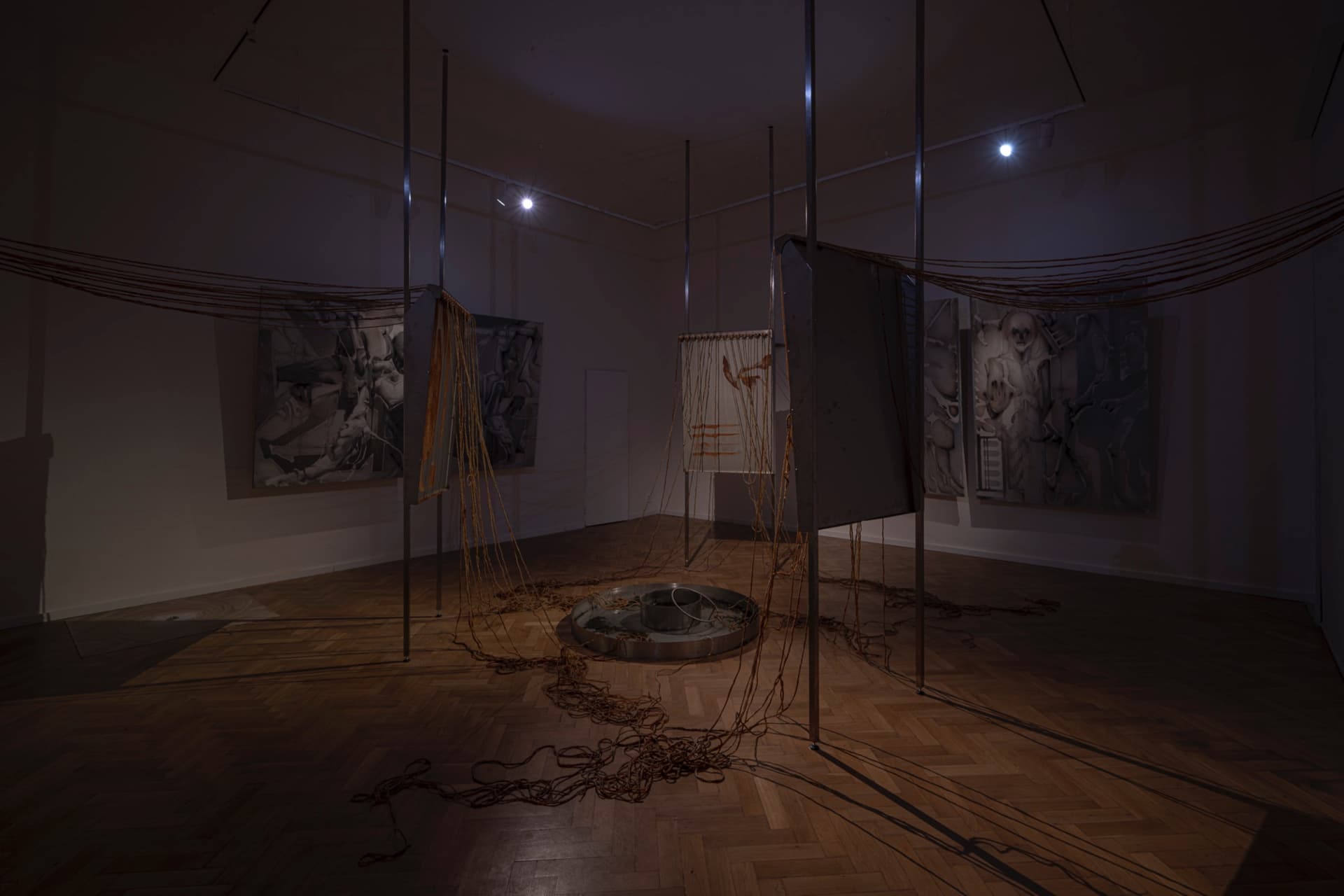 Begone Estrone installation view 11