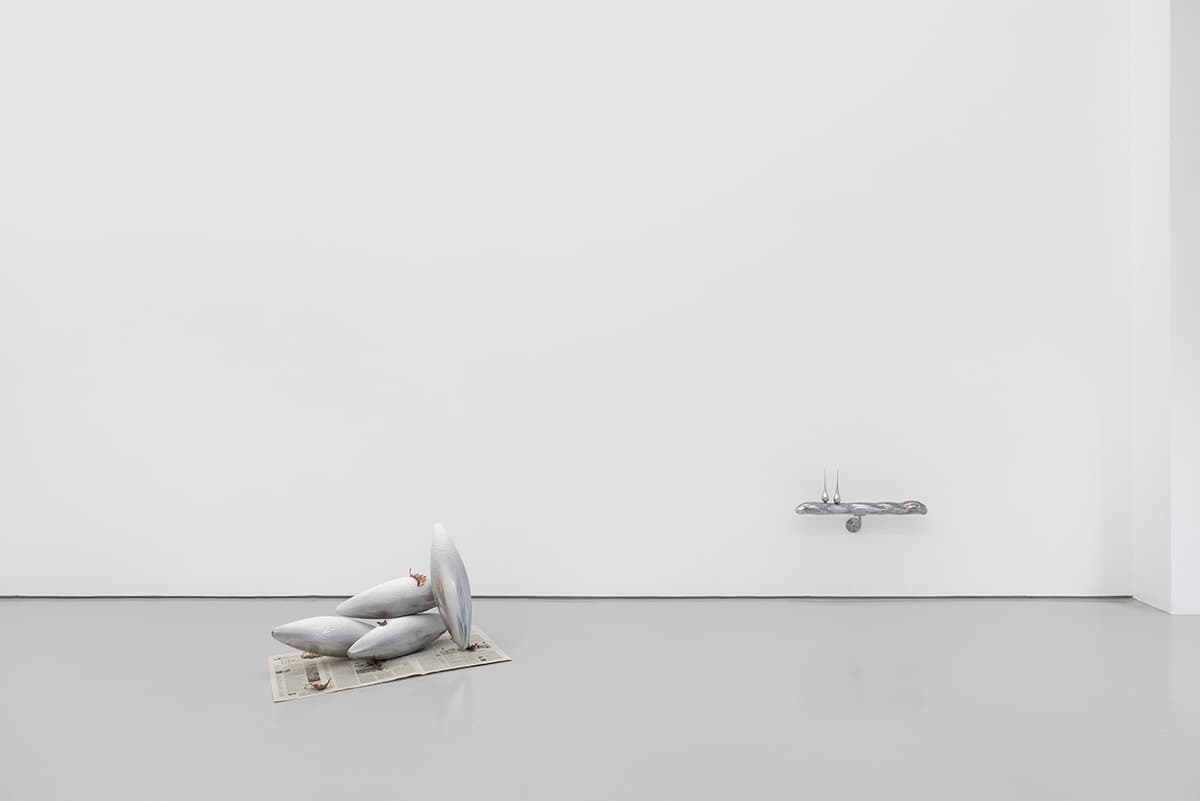 Choice Dirt installation view 17