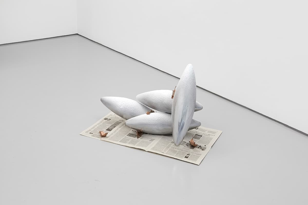 Choice Dirt installation view 20