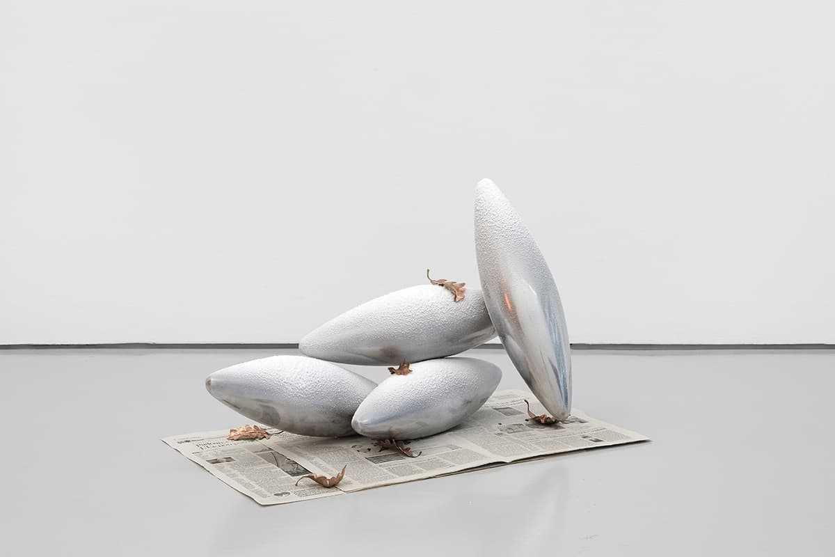 Choice Dirt installation view 21