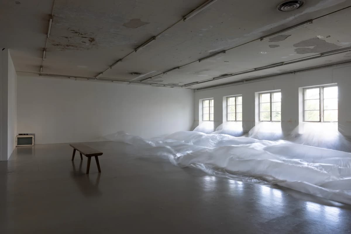 Dog and Angel installation view 2