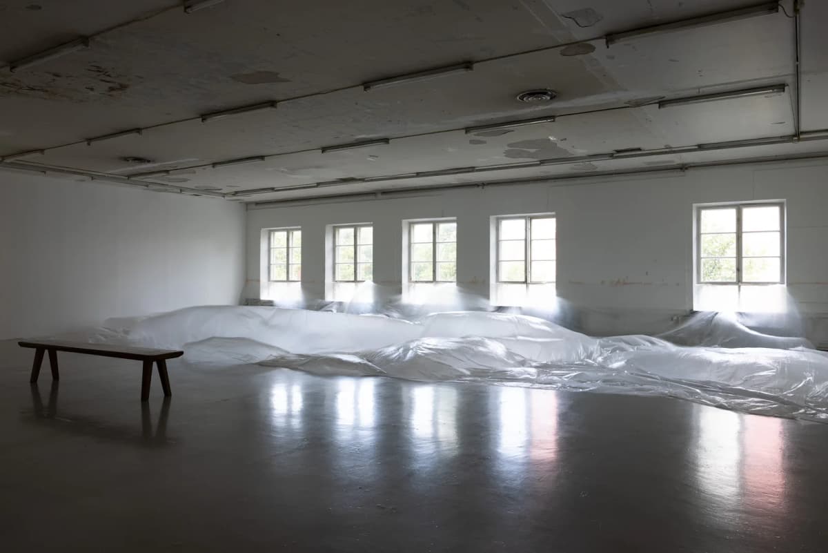 Dog and Angel installation view 3