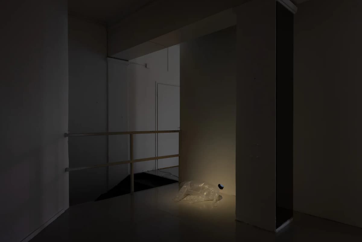 Dog and Angel installation view 6