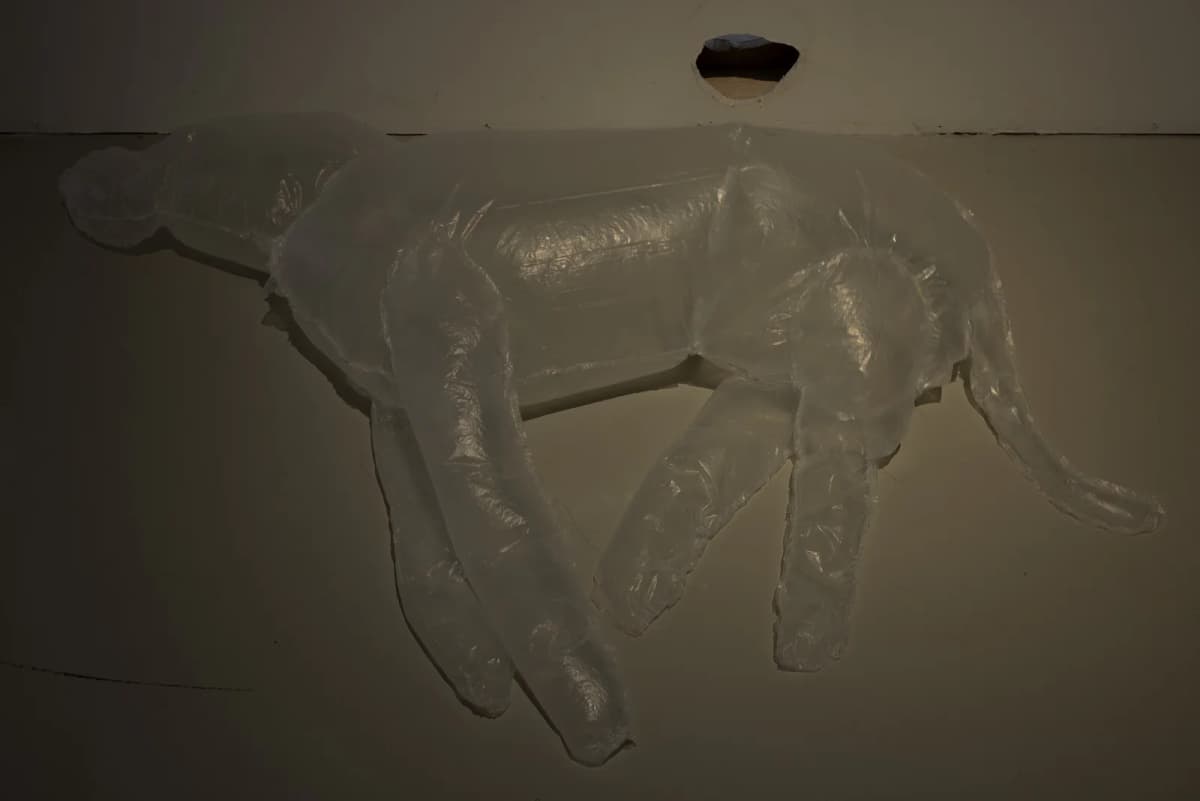 Dog and Angel installation view 7