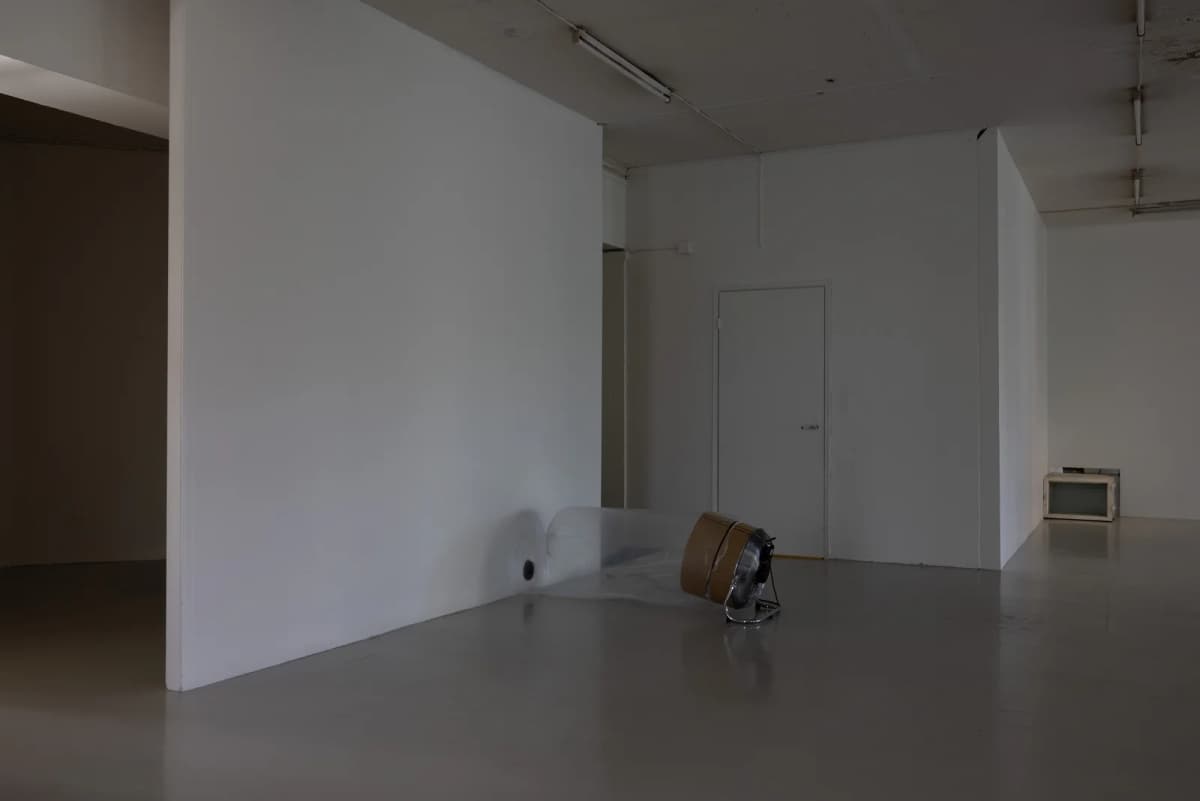 Dog and Angel installation view 9