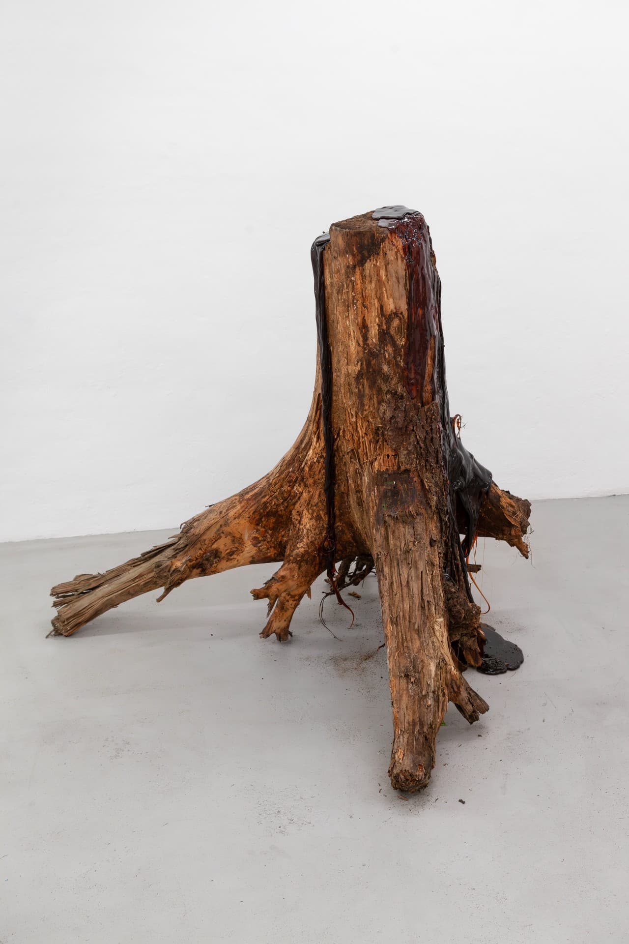 Edges that blur, bodies that fold into something other installation view 5