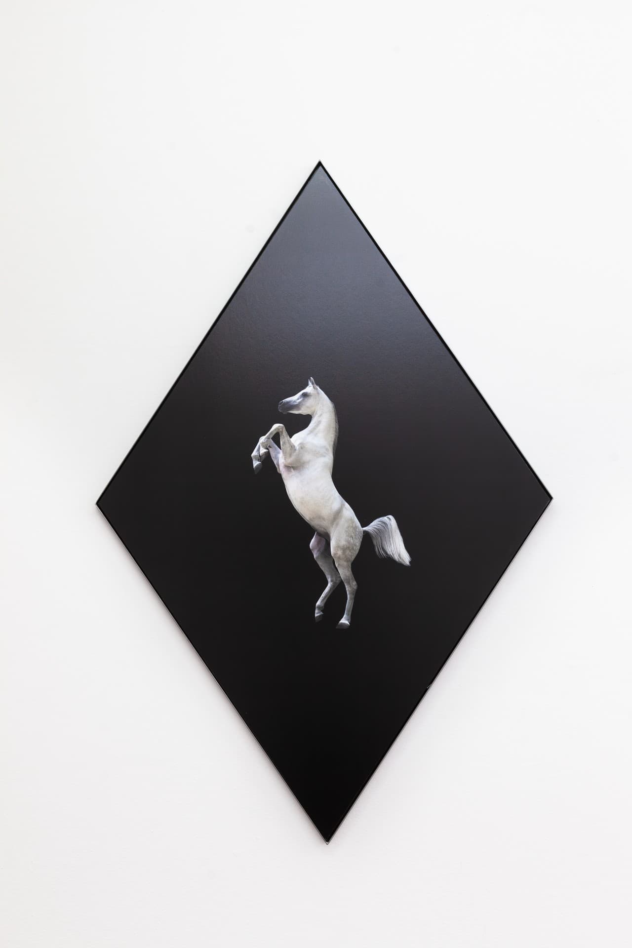 Edges that blur, bodies that fold into something other installation view 11