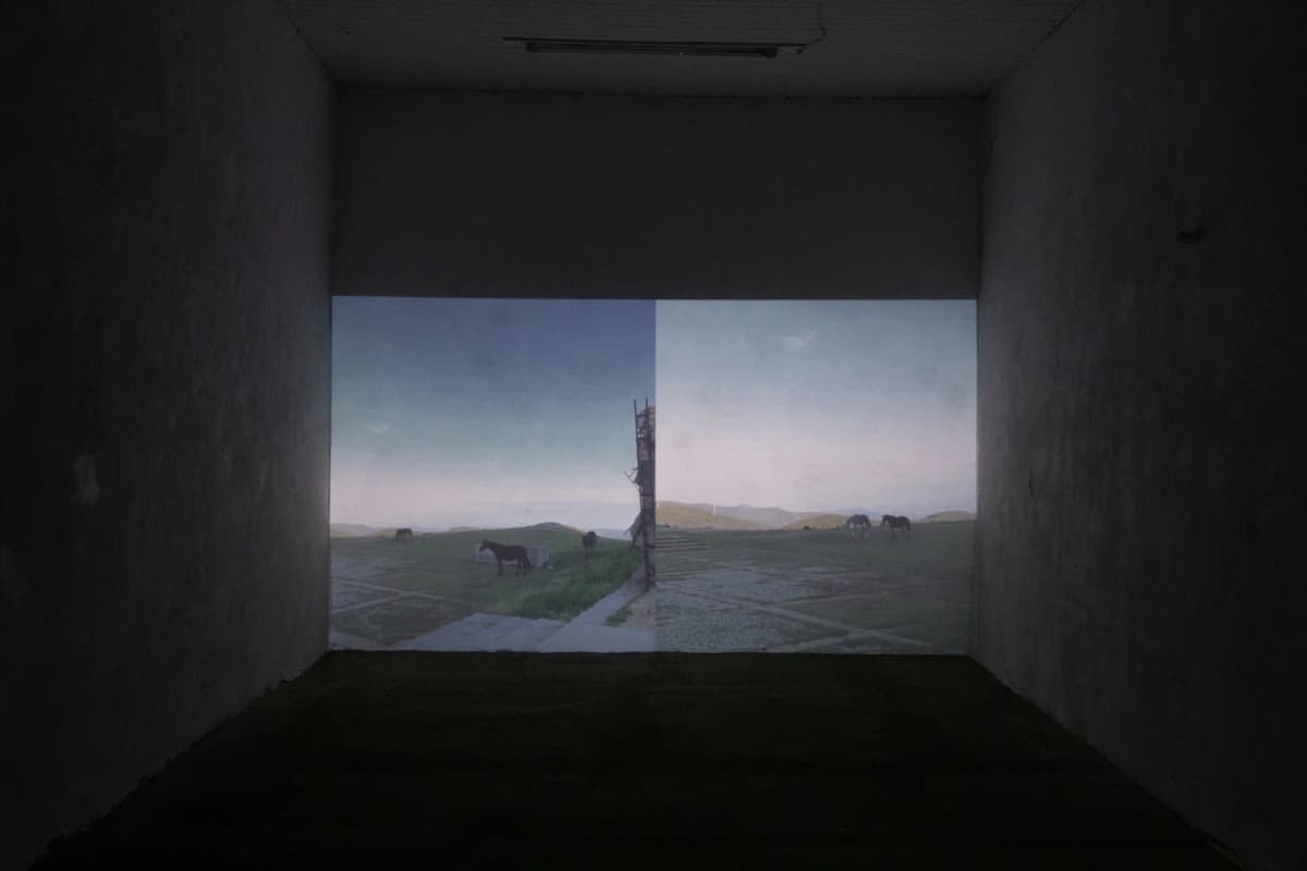 Excusing Immoral Behavior in Favour of a Wristband installation view 16