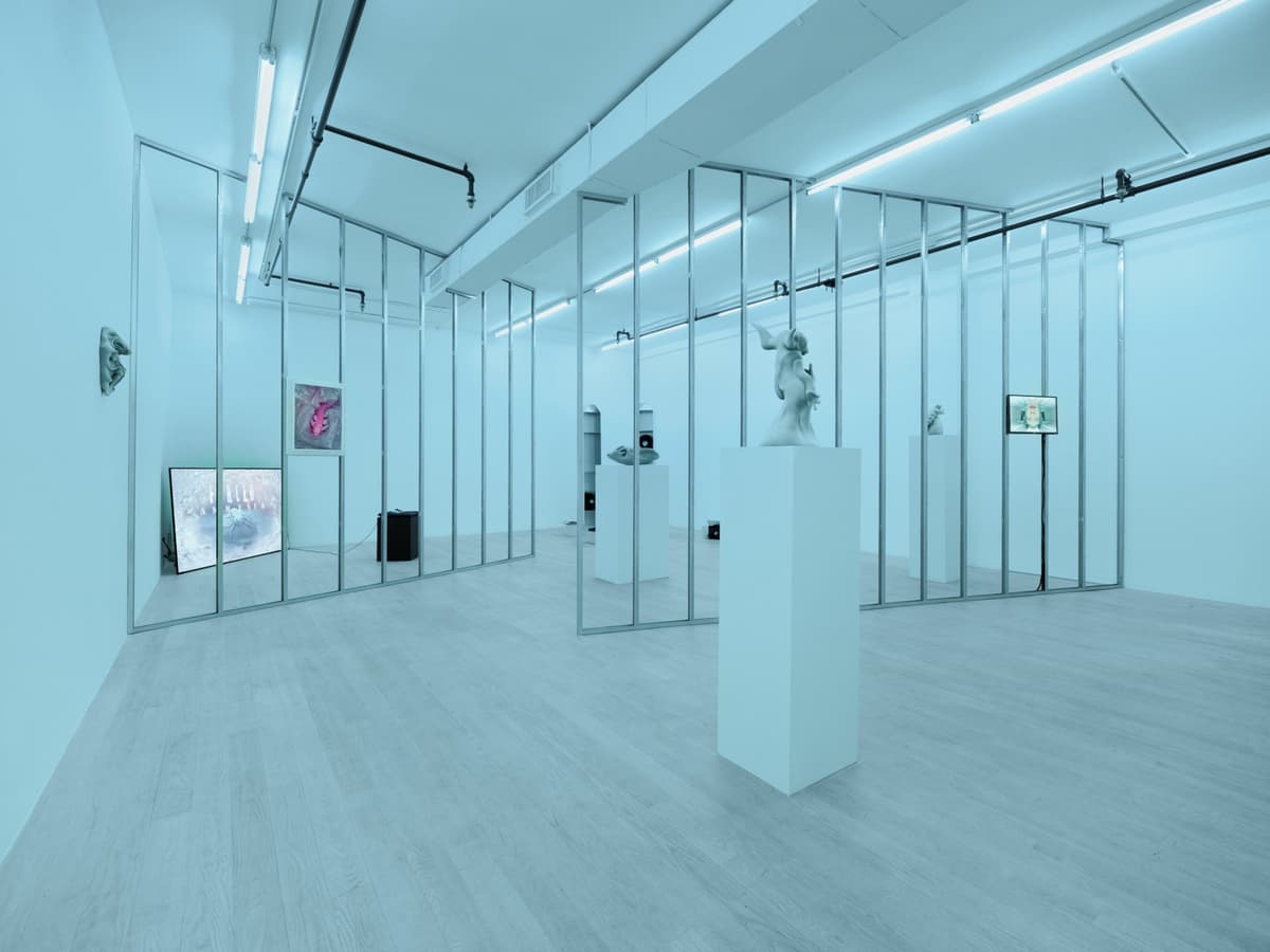 exuviae installation view