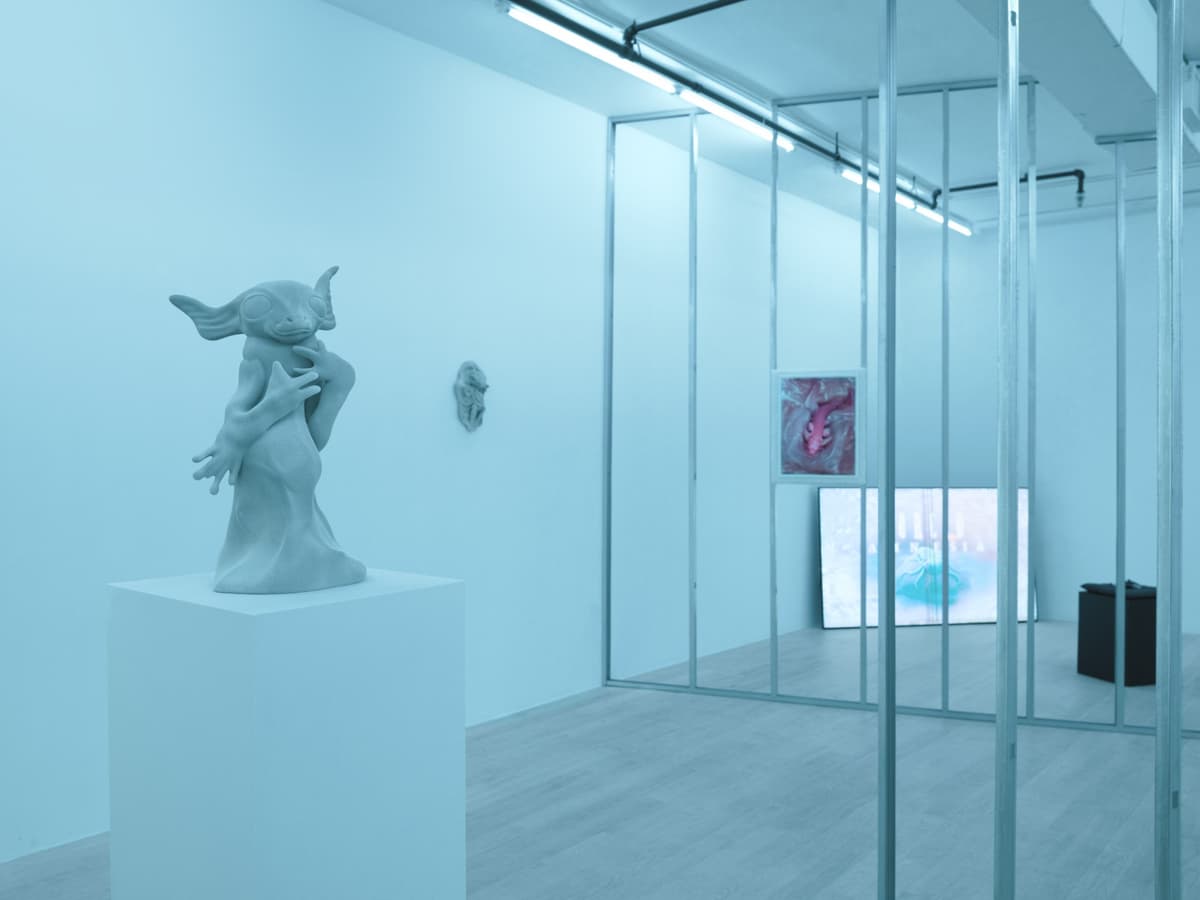 exuviae installation view 4