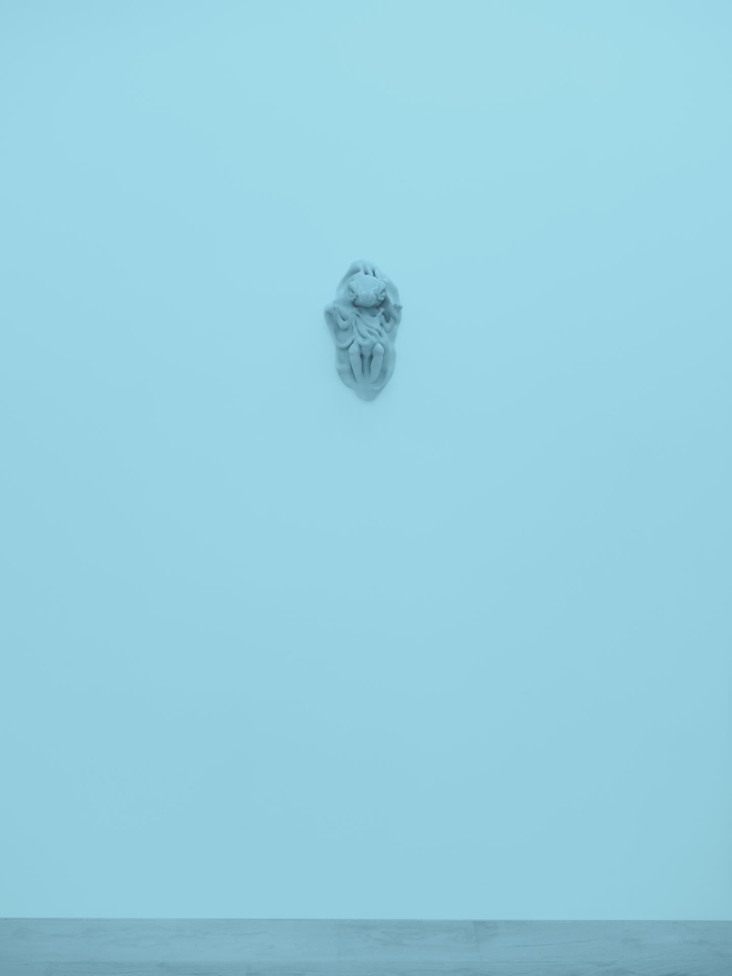 exuviae installation view 6