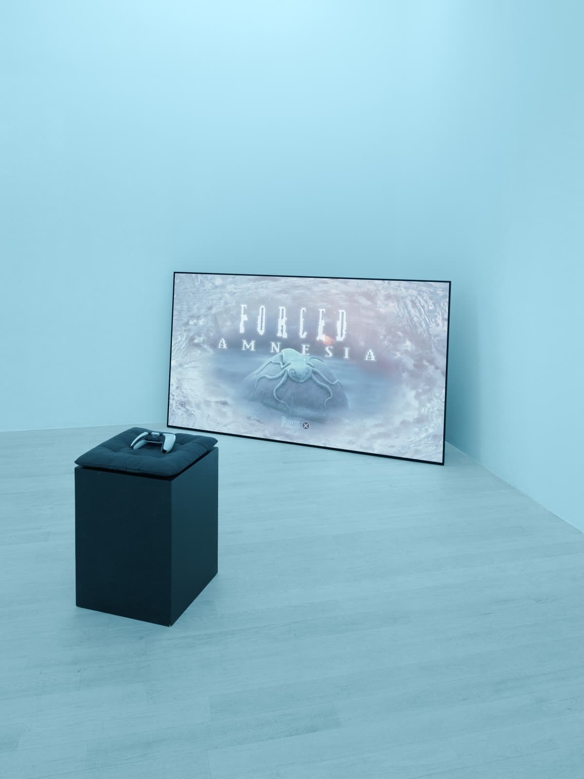 exuviae installation view 7