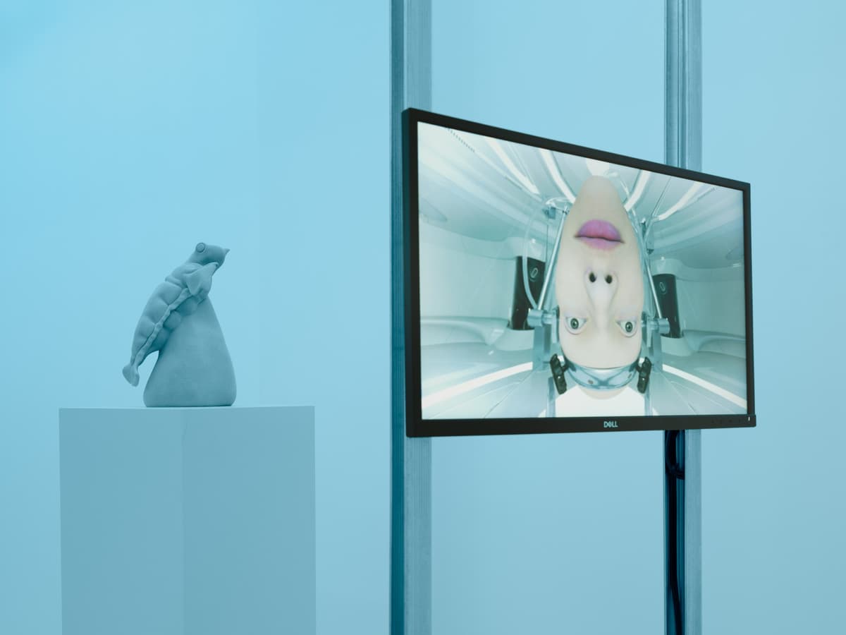 exuviae installation view 8
