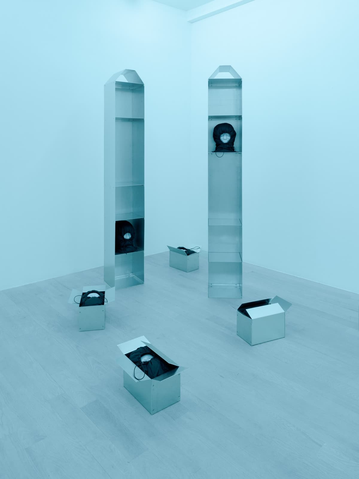 exuviae installation view 9