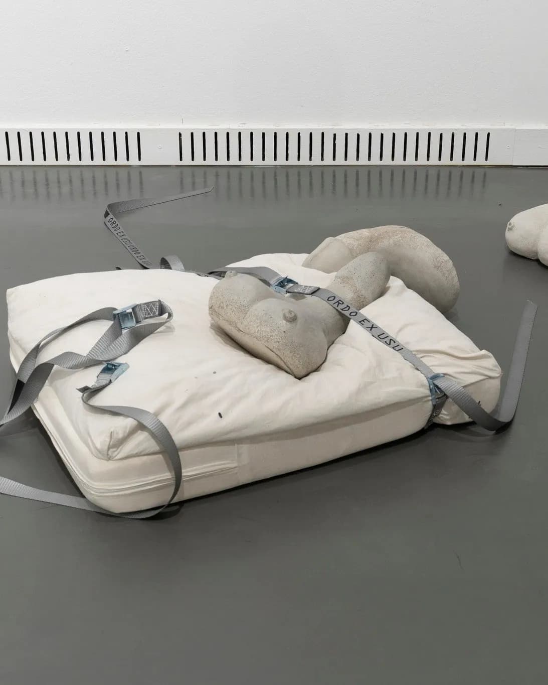 fight or flight: SEX installation view 8