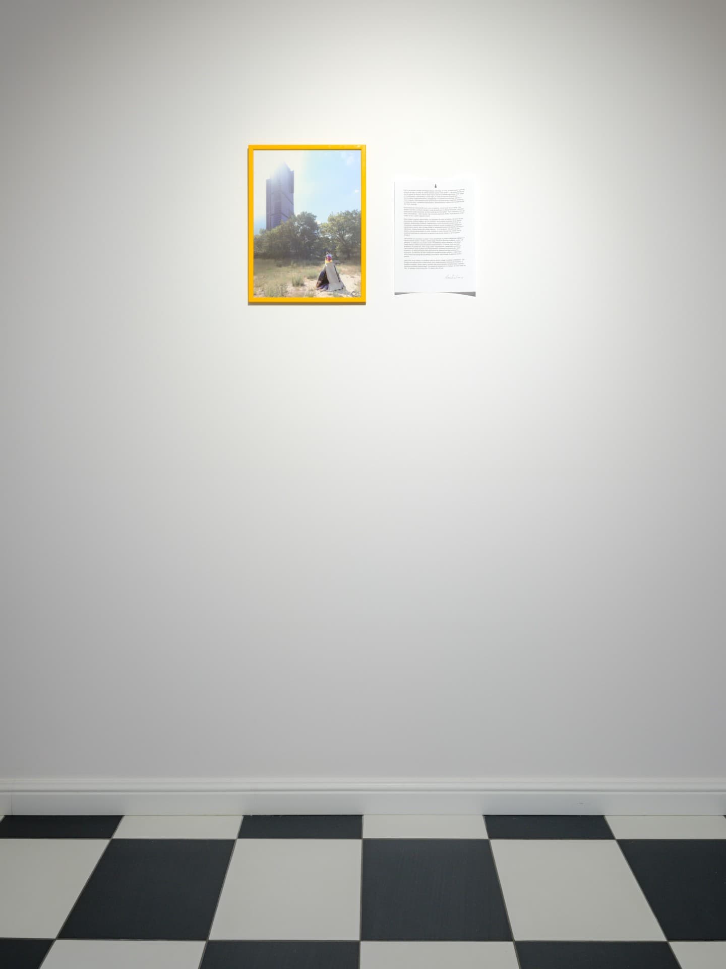 Grass on roadside 4 installation view 2