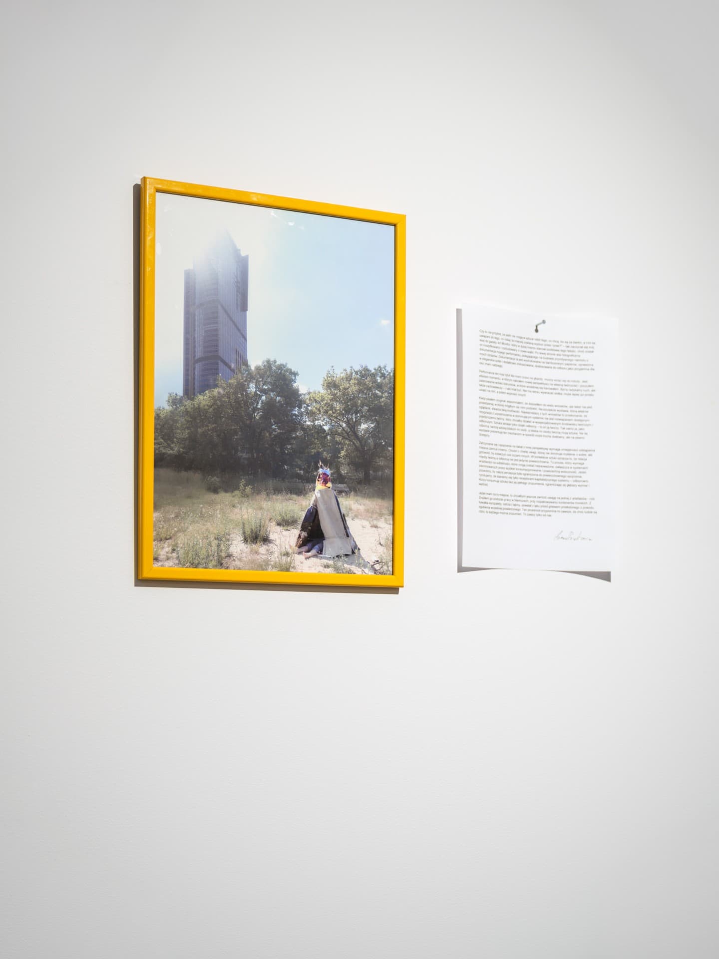 Grass on roadside 4 installation view 3