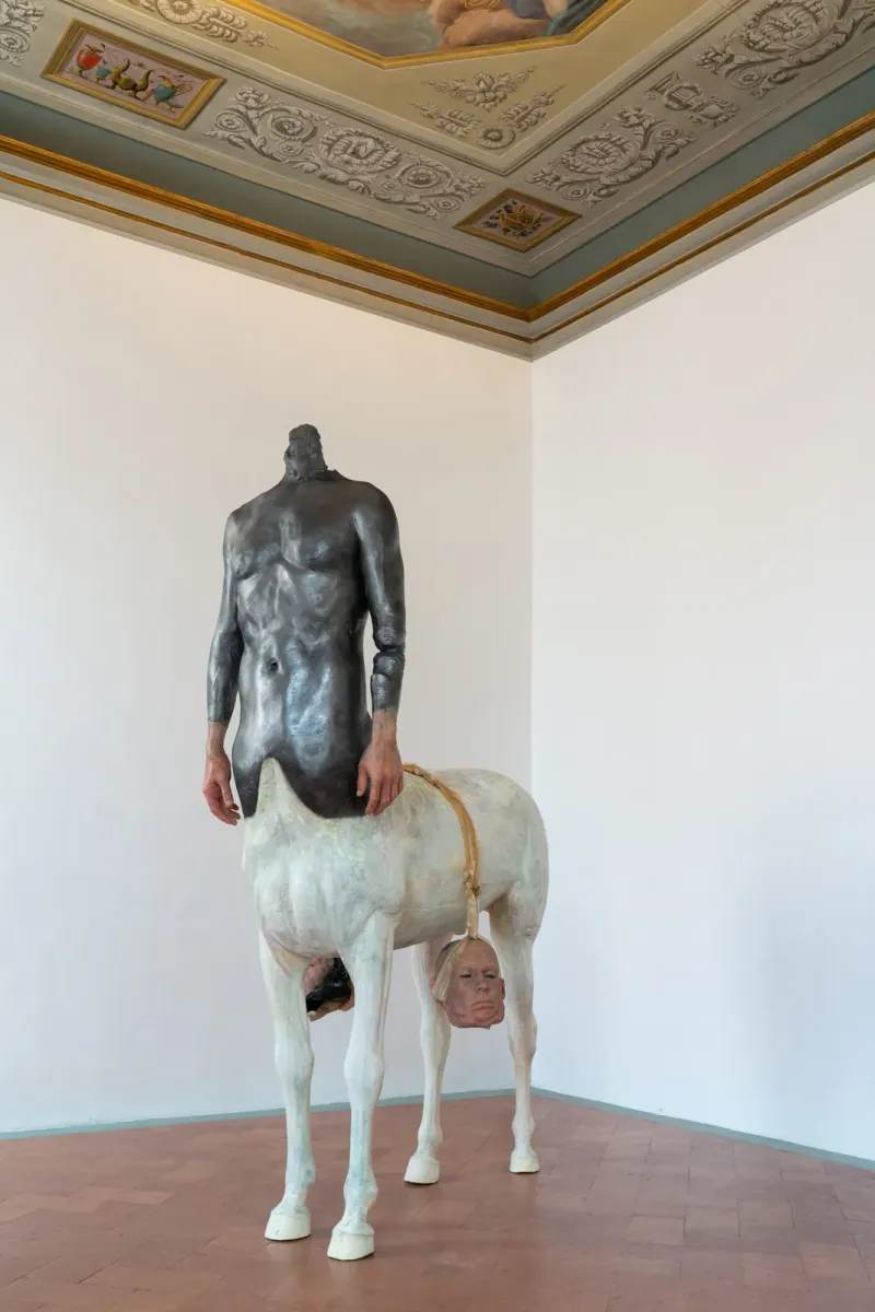 Impotenza installation view 13